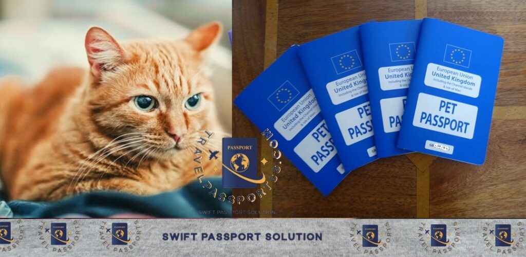 Buy Pet Passport