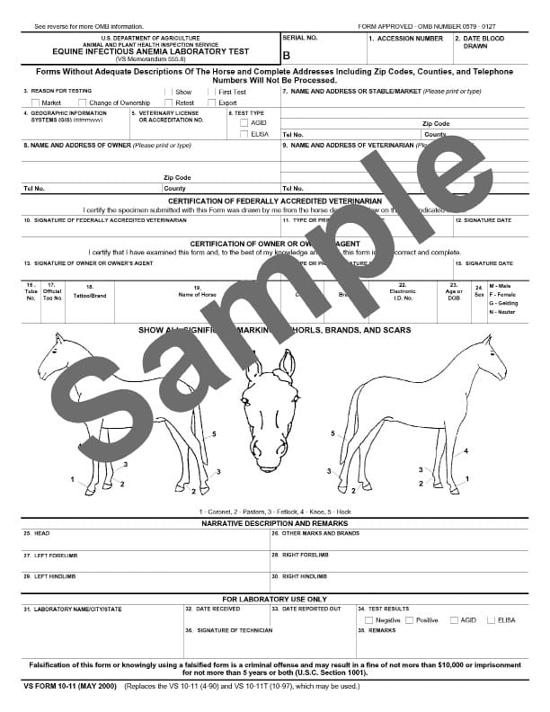 Pet Health Certificate for International Travel